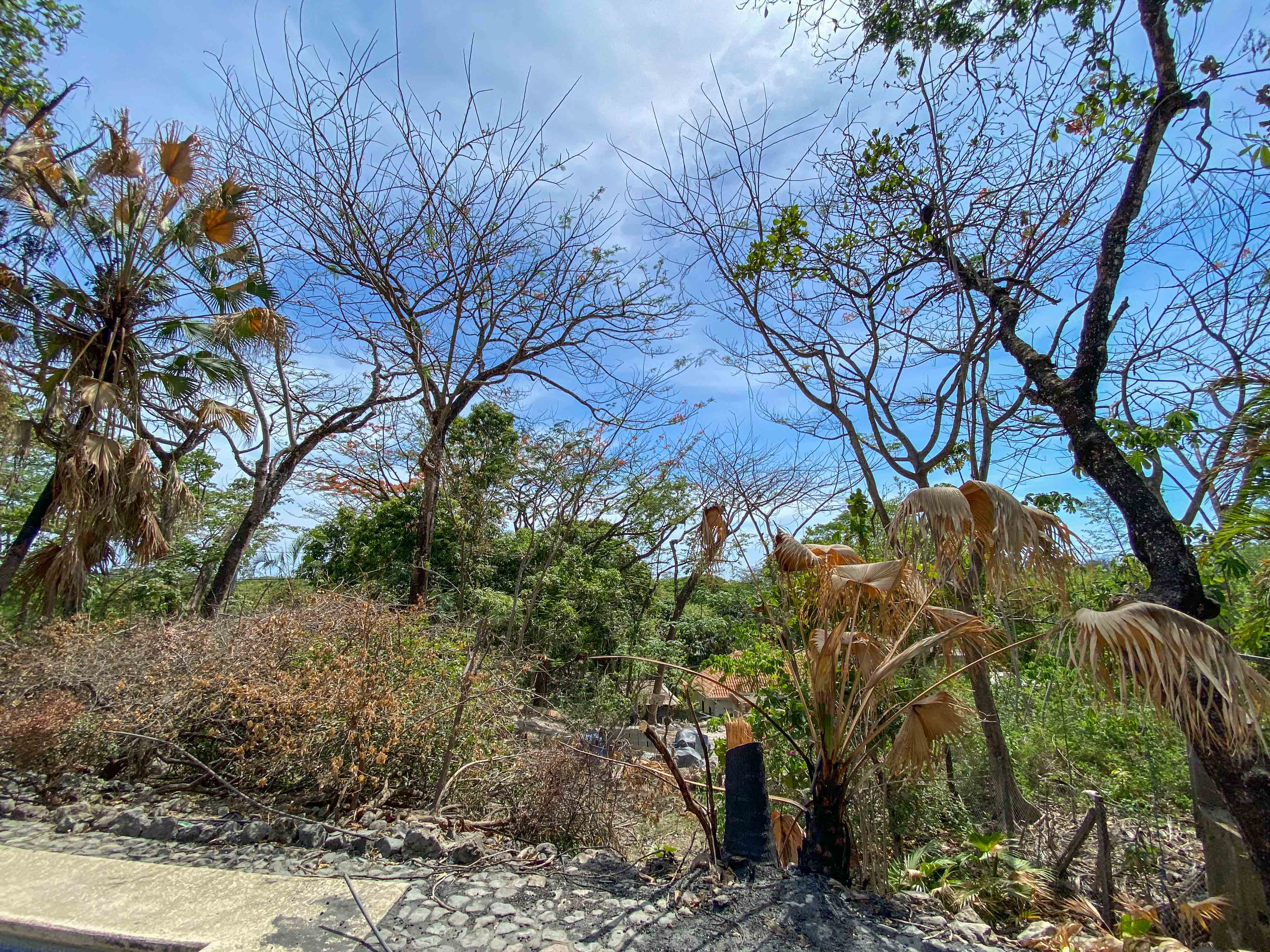 0 bed Land For Sale in Nosara, Guanacaste - thumb 13