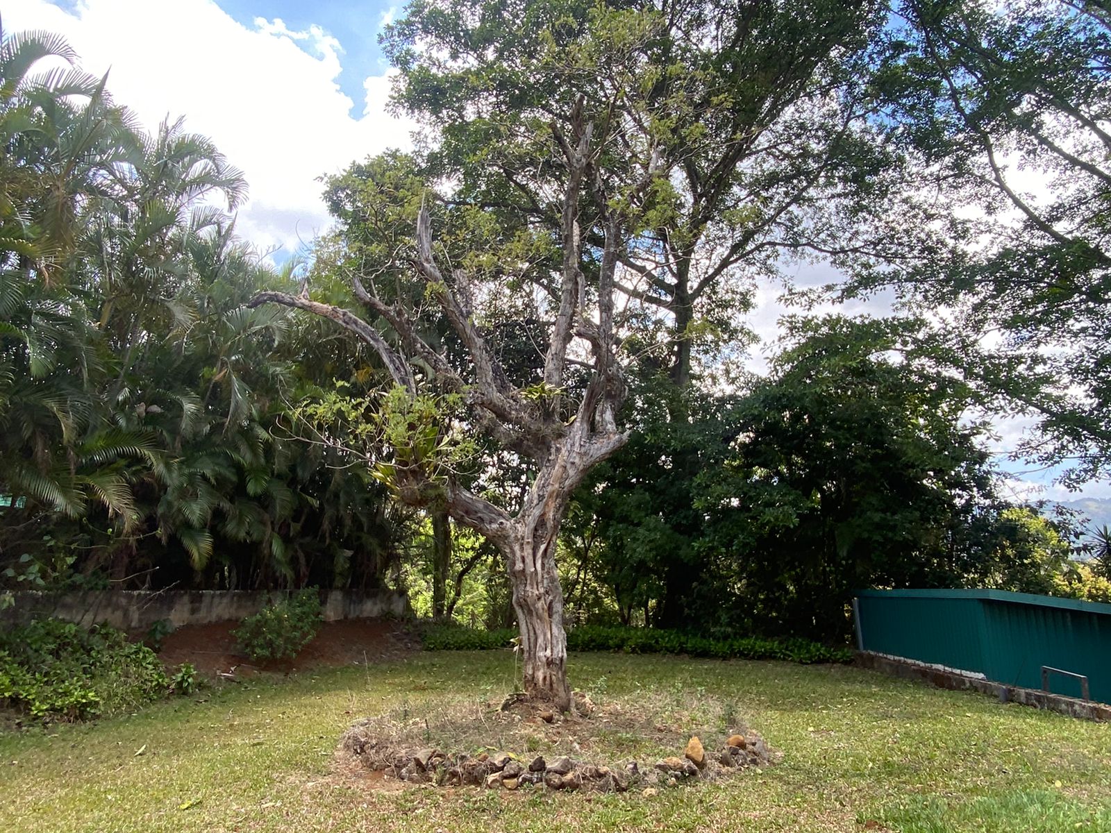 3 bed Single Family Homes For Sale in Atenas, Alajuela - thumb 30