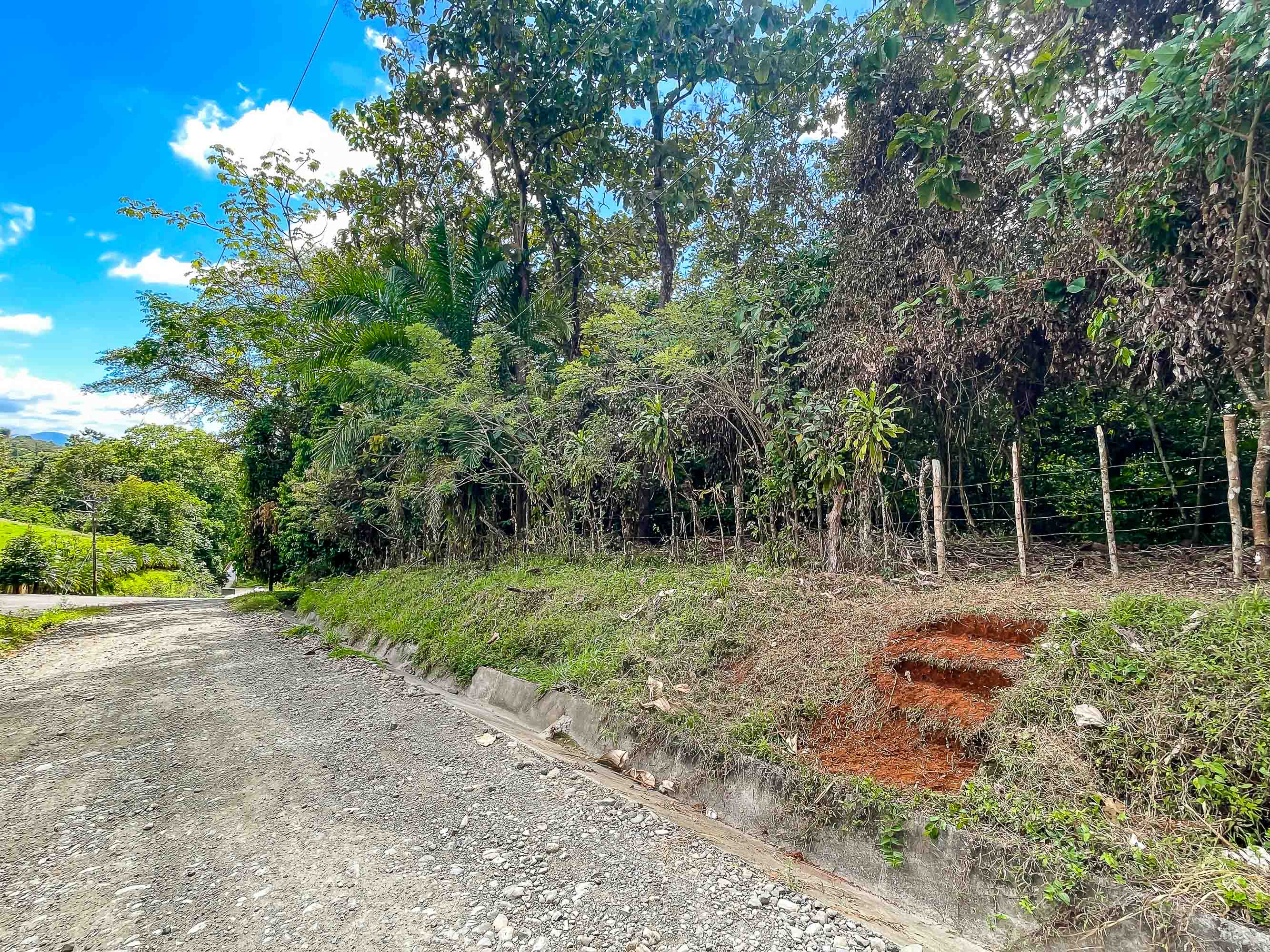 0 bed Land For Sale in Quepos, Puntarenas - thumb 10