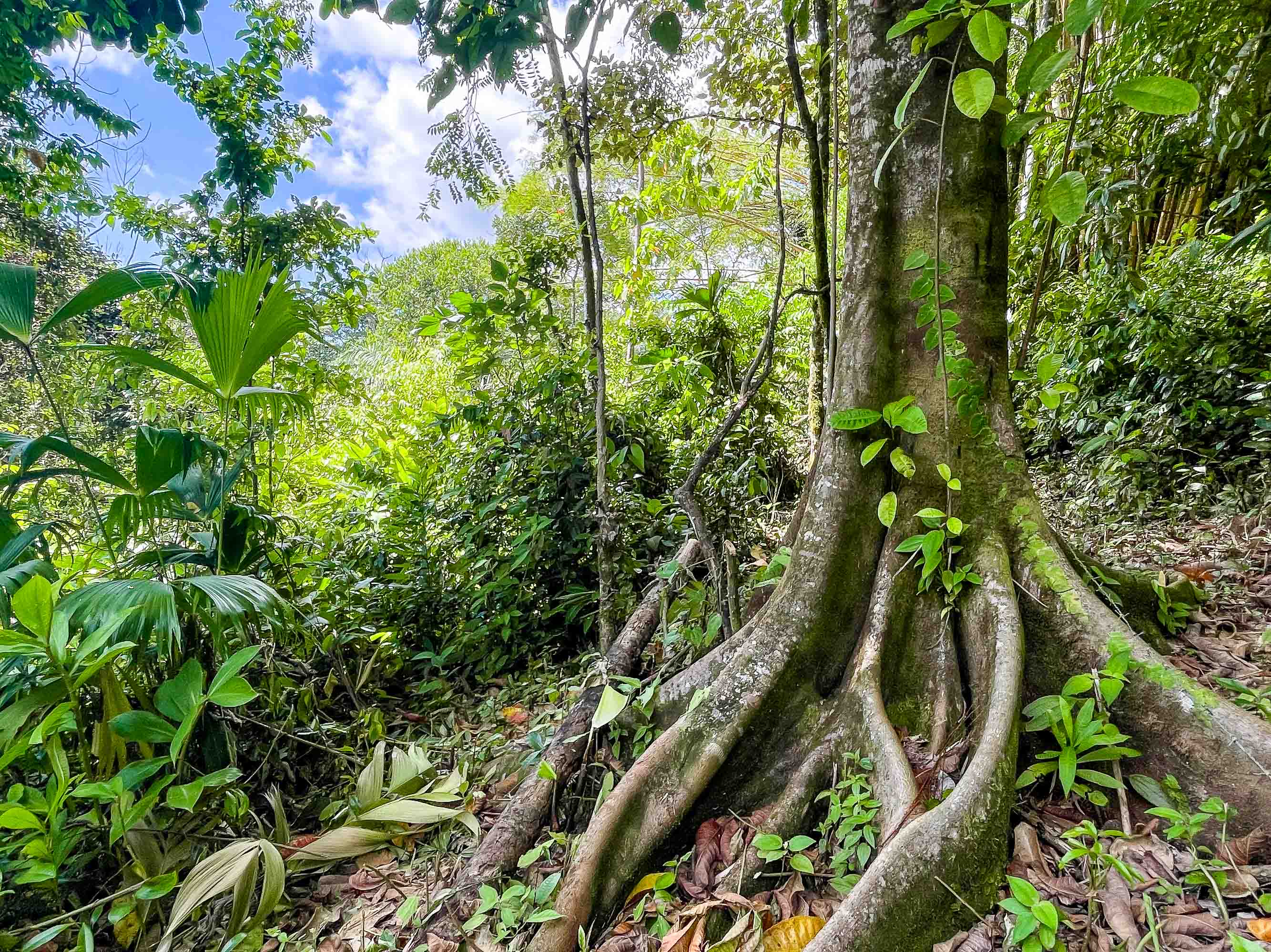 0 bed Land For Sale in Quepos, Puntarenas - thumb 8