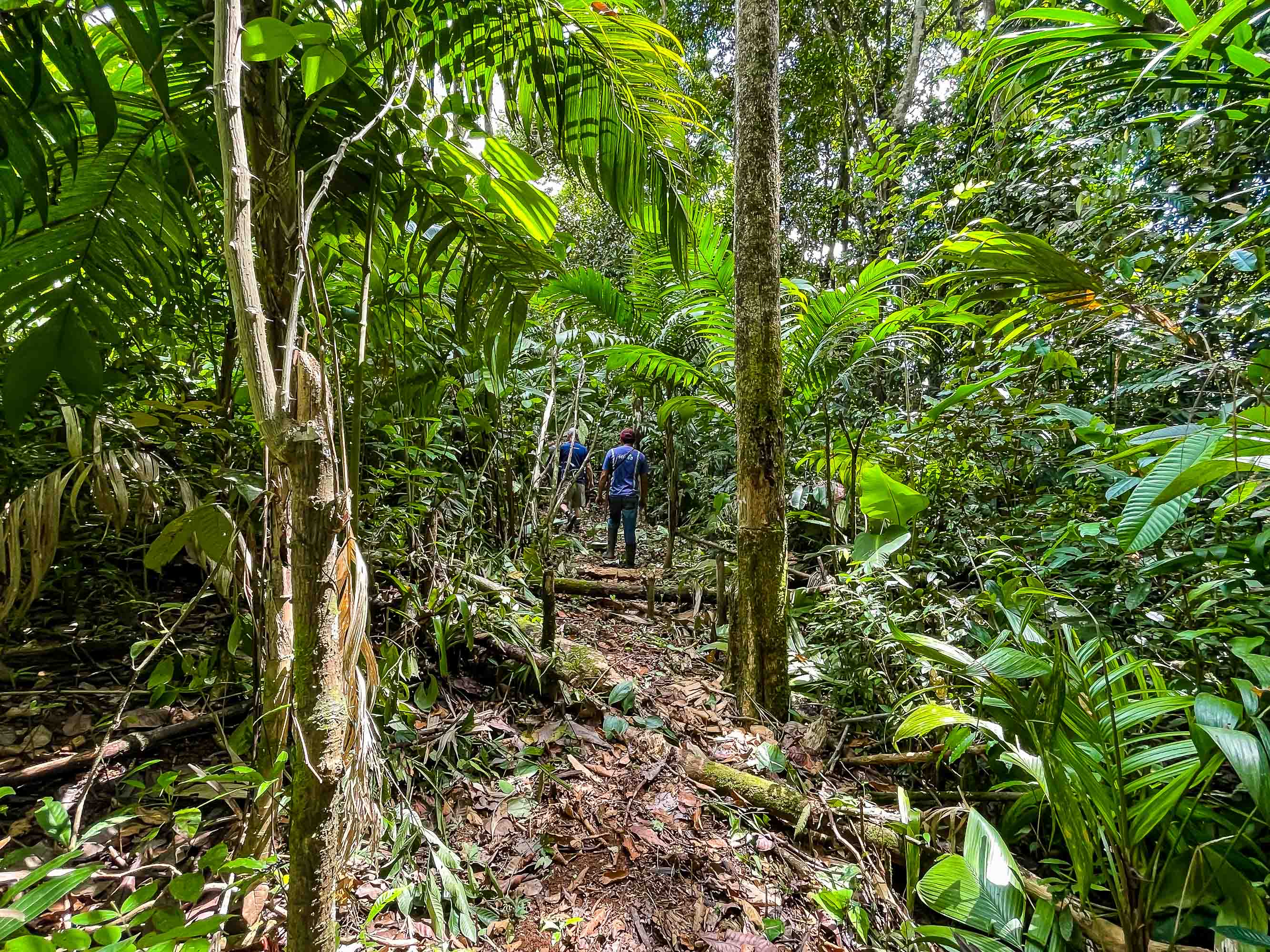 0 bed Land For Sale in Quepos, Puntarenas - thumb 7