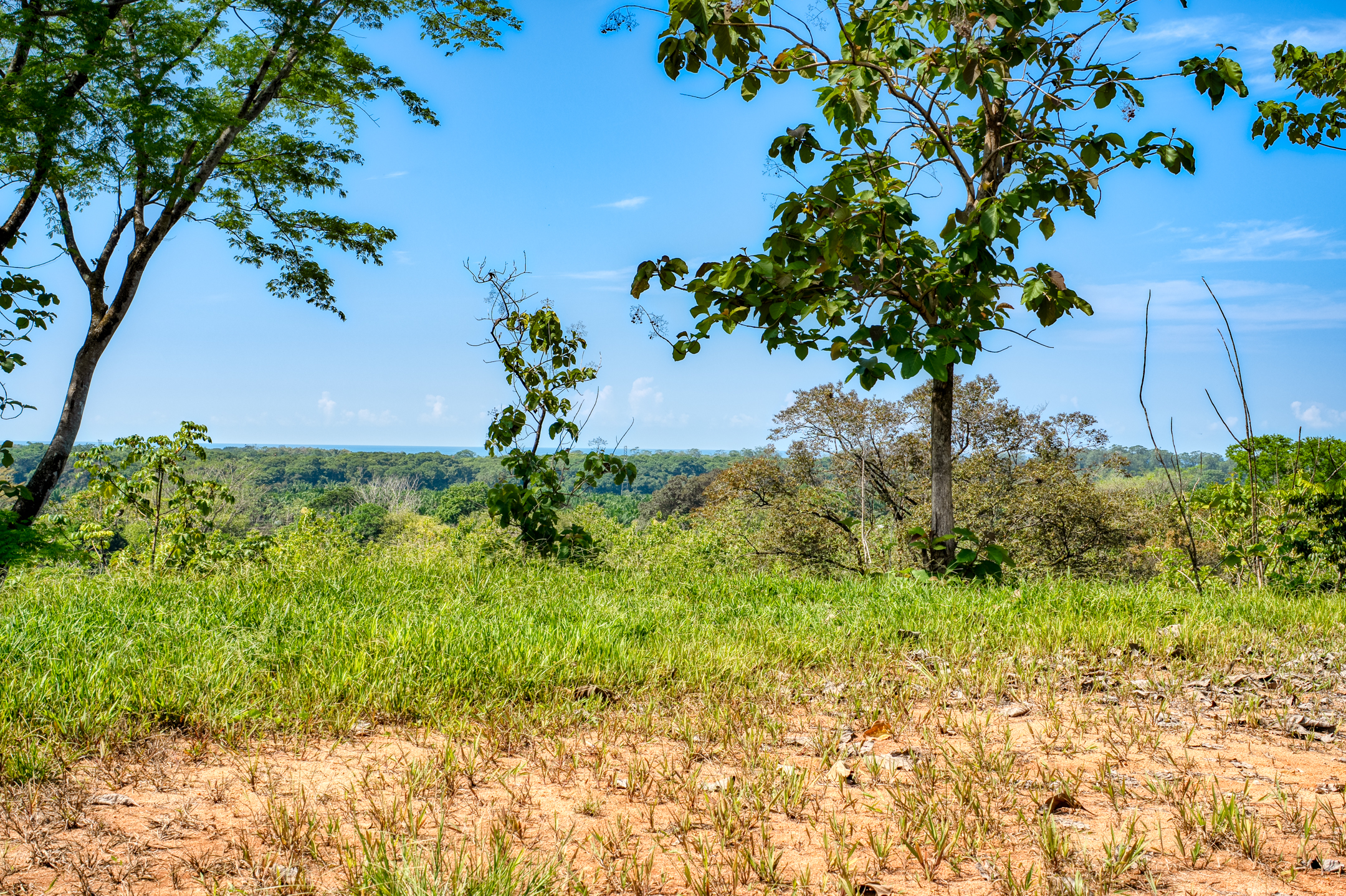 0 bed Communities For Sale in Dominical, Puntarenas - thumb 11