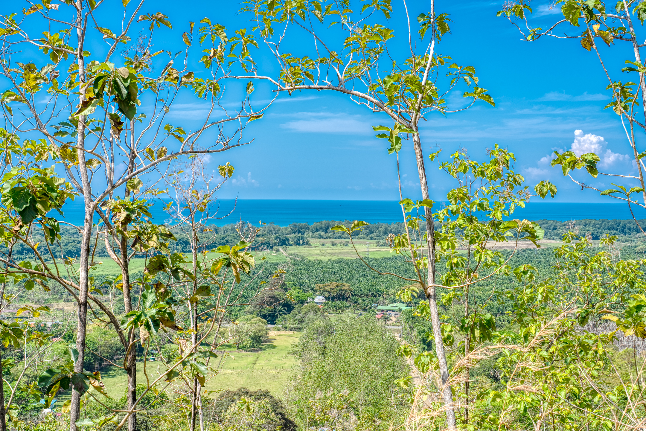 0 bed Communities For Sale in Dominical, Puntarenas - thumb 14