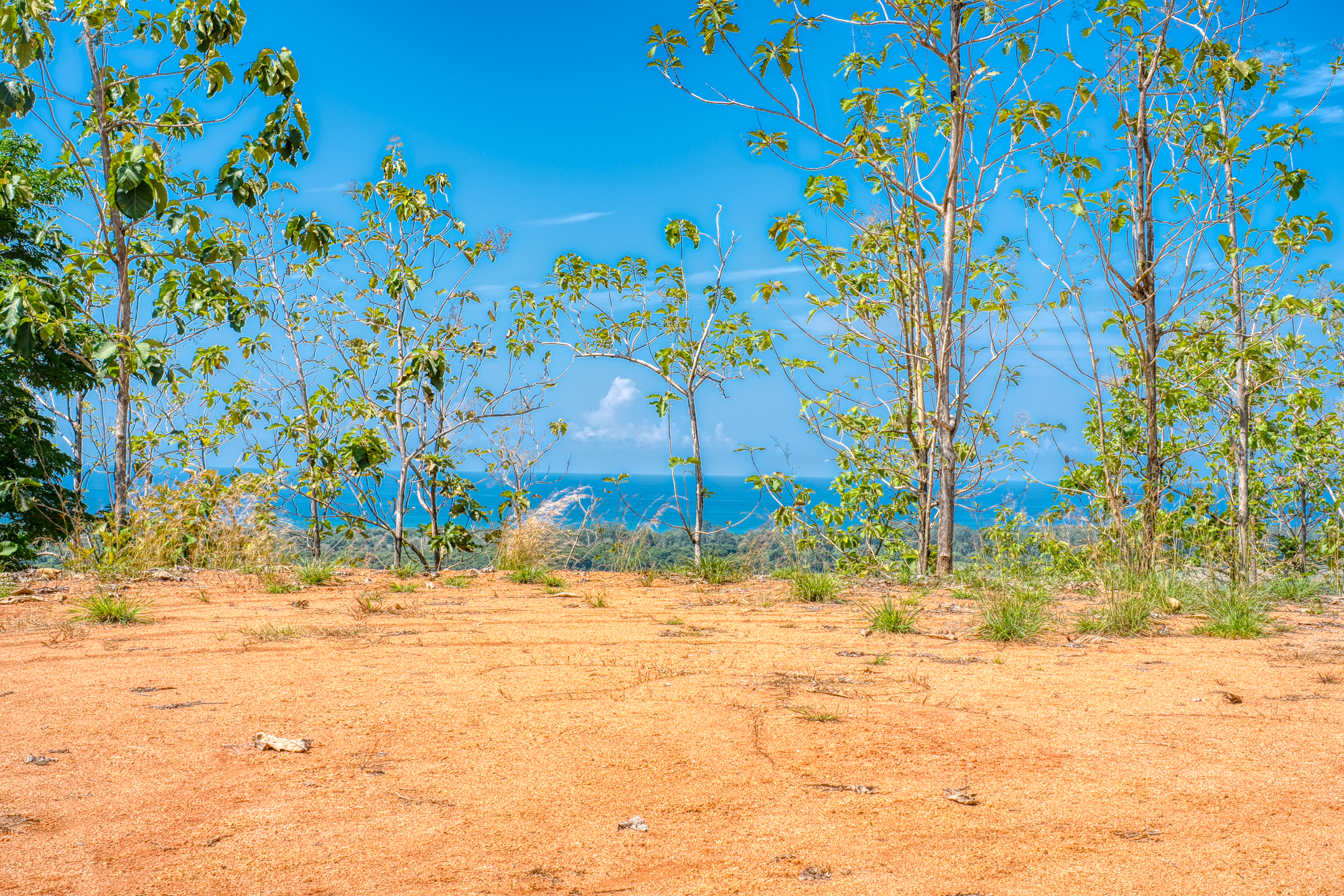 0 bed Communities For Sale in Dominical, Puntarenas - thumb 12