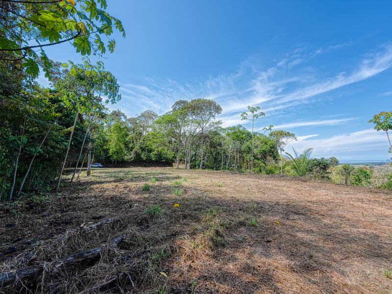 Land For Sale in Uvita Costa Rica