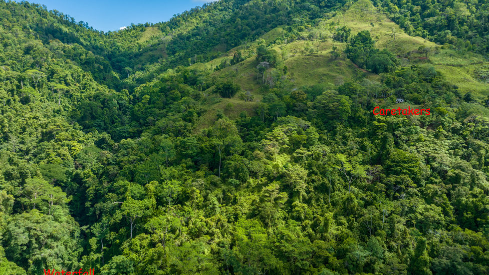 0 bed Land For Sale in Dominical, Puntarenas - thumb 4