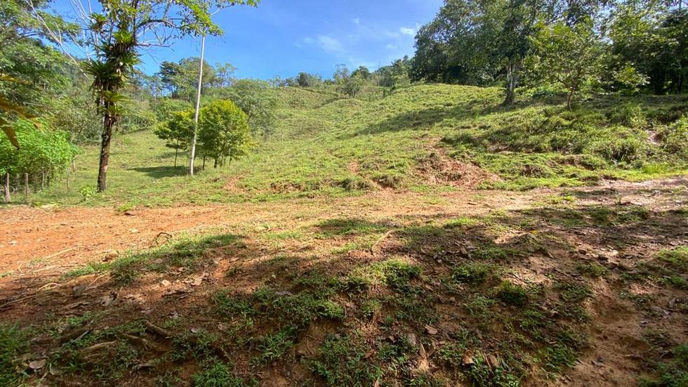0 bed Land For Sale in Dominical, Puntarenas - thumb 17