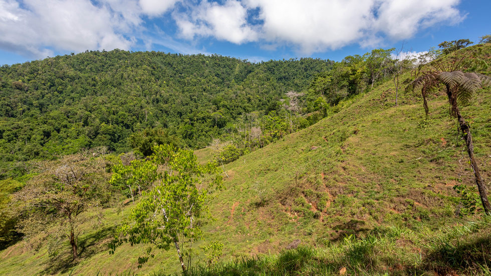 0 bed Land For Sale in Dominical, Puntarenas - thumb 23