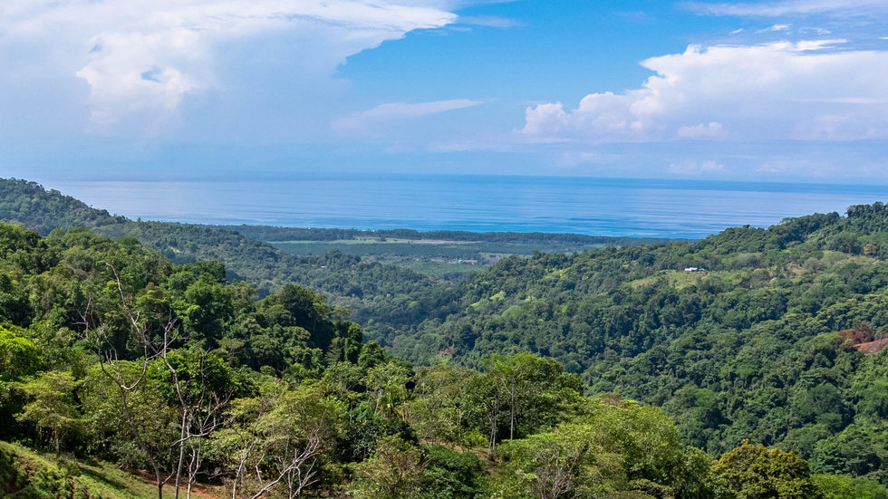 0 bed Land For Sale in Dominical, Puntarenas - thumb 26