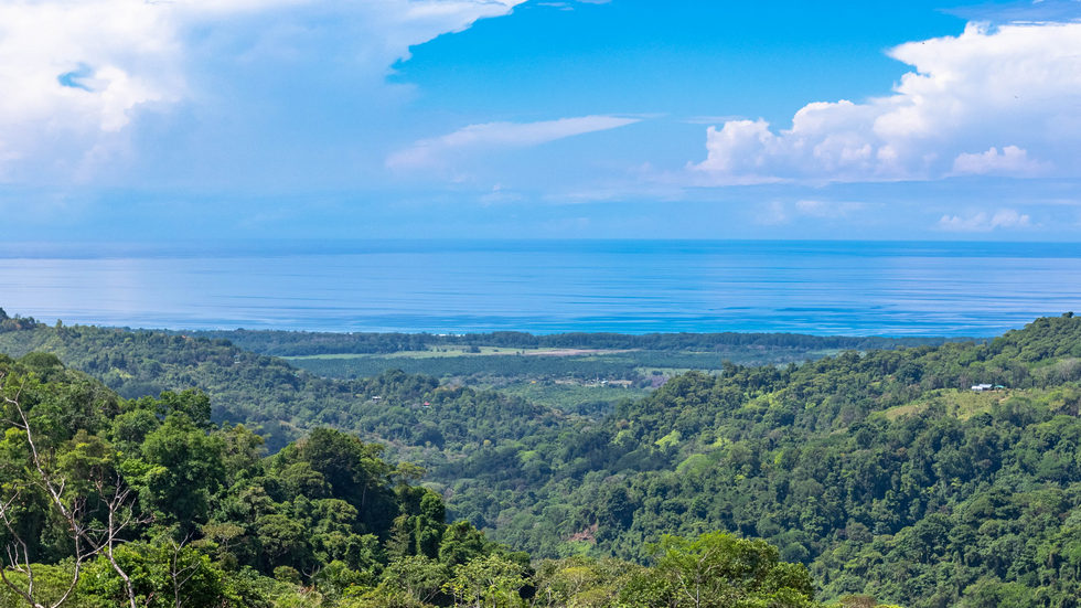 0 bed Land For Sale in Dominical, Puntarenas - thumb 24