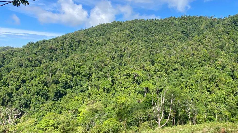 0 bed Land For Sale in Dominical, Puntarenas - thumb 14