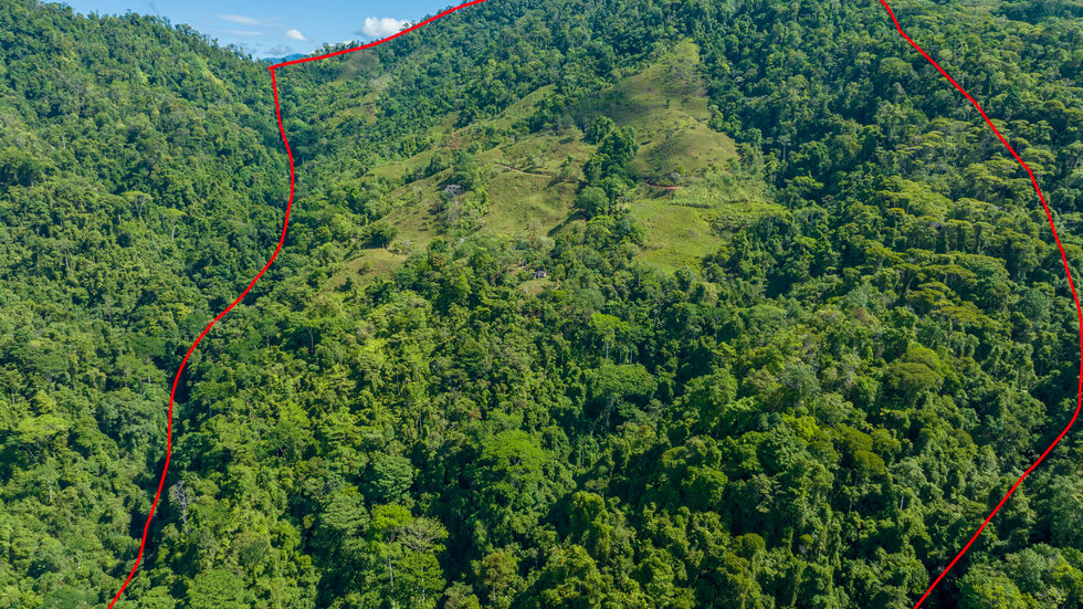 0 bed Land For Sale in Dominical, Puntarenas - thumb 2
