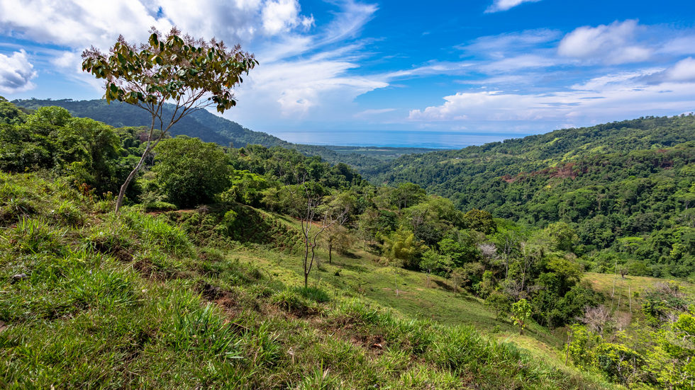 0 bed Land For Sale in Dominical, Puntarenas - thumb 29