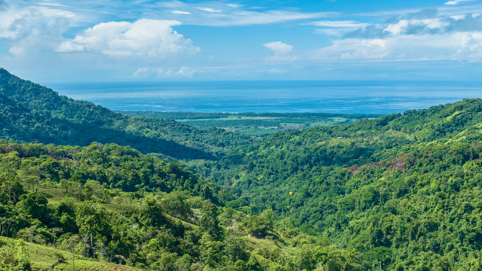 0 bed Land For Sale in Dominical, Puntarenas - thumb 25