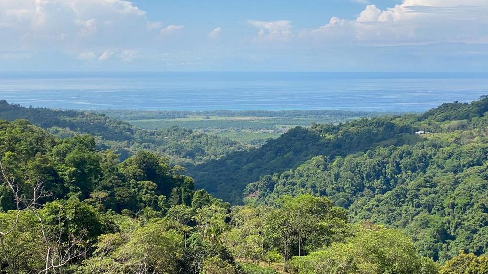 0 bed Land For Sale in Dominical, Puntarenas - thumb 16