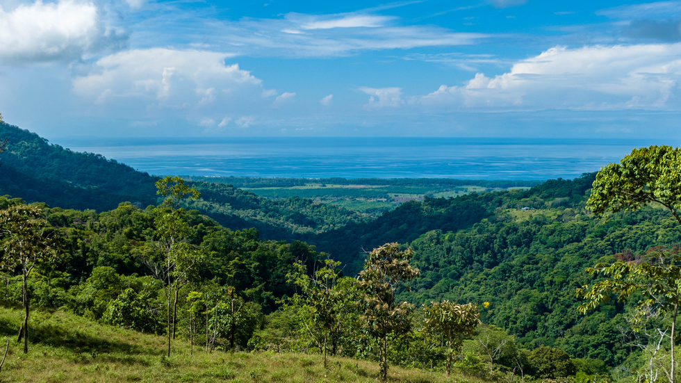 0 bed Land For Sale in Dominical, Puntarenas - thumb 27