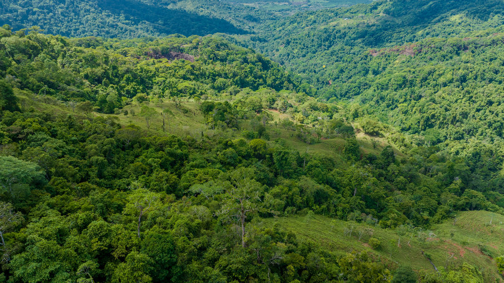 0 bed Land For Sale in Dominical, Puntarenas - thumb 7