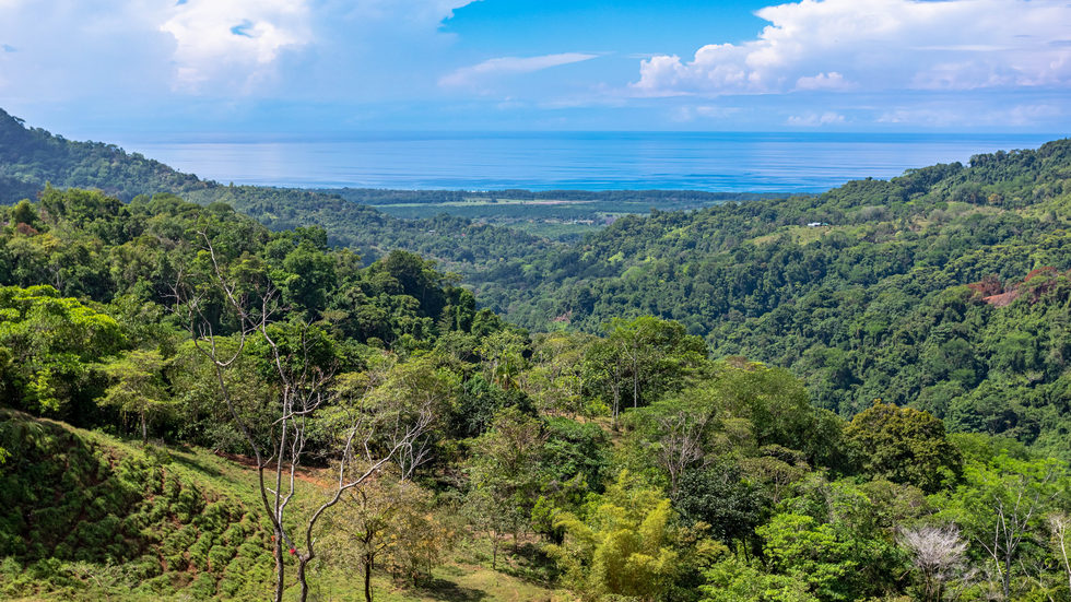 0 bed Land For Sale in Dominical, Puntarenas - thumb 30