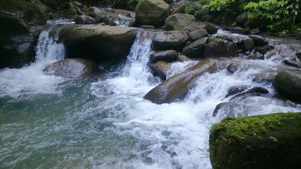 0 bed Land For Sale in Dominical, Puntarenas - thumb 19