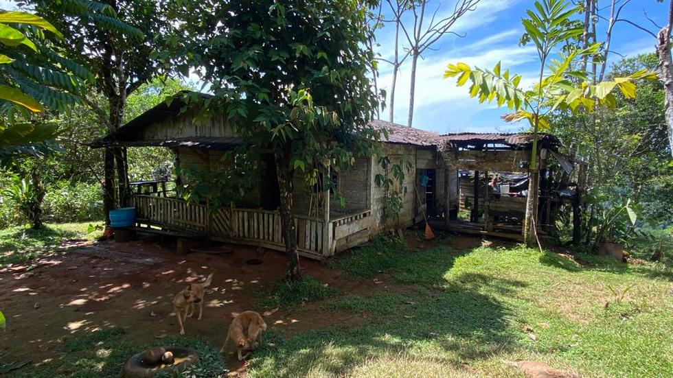 0 bed Land For Sale in Dominical, Puntarenas - thumb 11