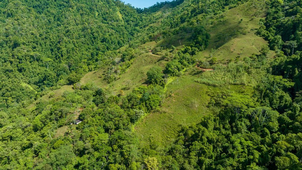 0 bed Land For Sale in Dominical, Puntarenas - thumb 3