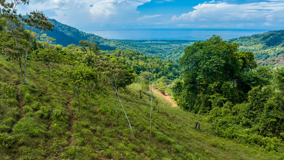 0 bed Land For Sale in Dominical, Puntarenas - thumb 8