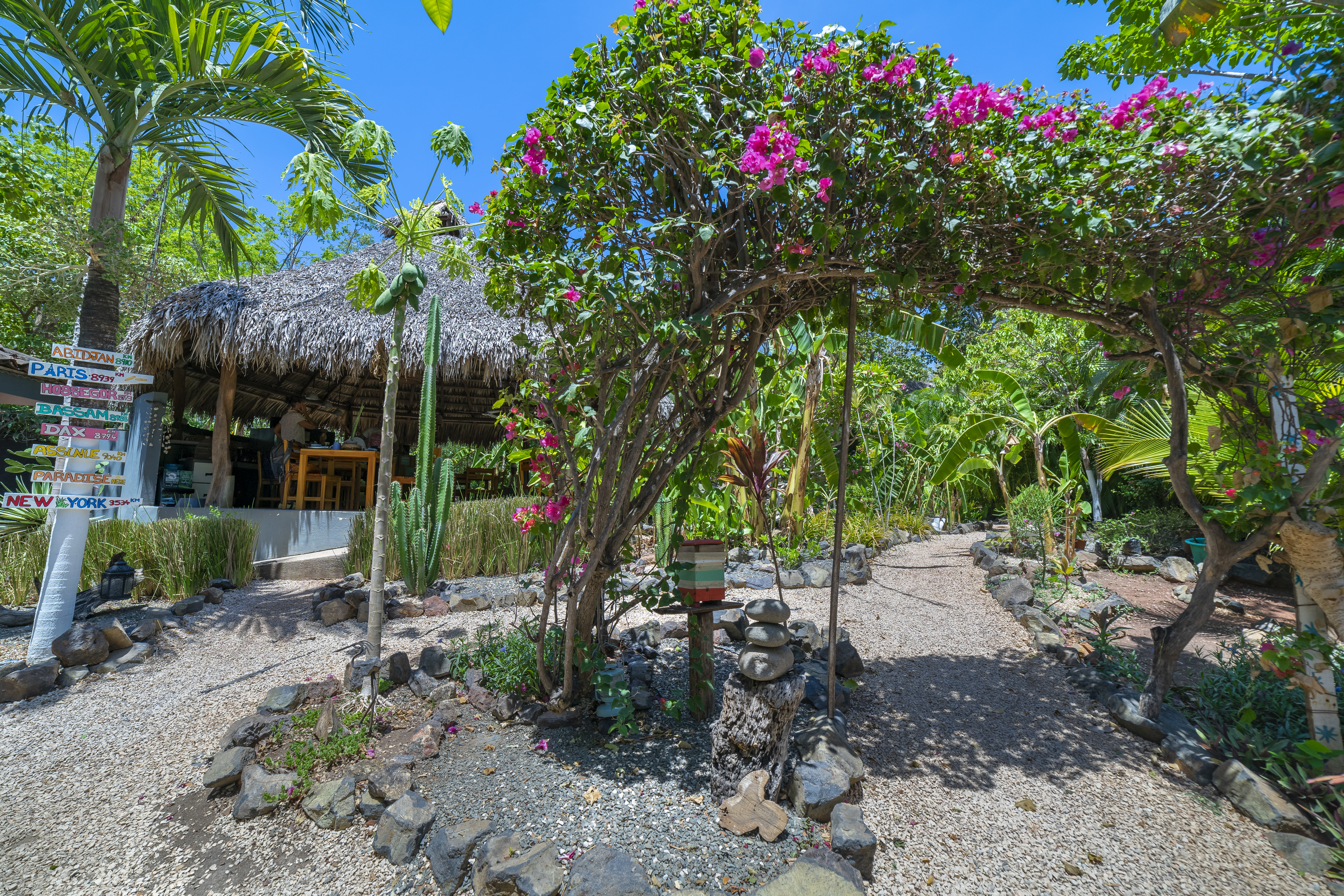 10 bed Hotel / Leisure For Sale in Playa Grande, Guanacaste - thumb 5