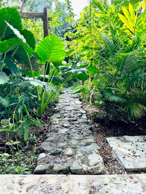 2 bed Single Family Homes For Sale in Cabuya, Puntarenas - thumb 20