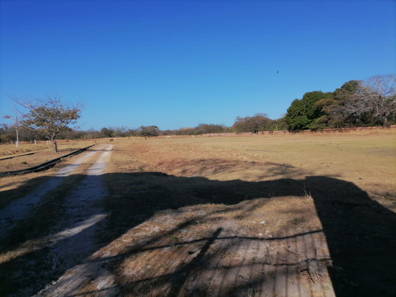 0 bed Land For Sale in Liberia, Guanacaste - thumb 2