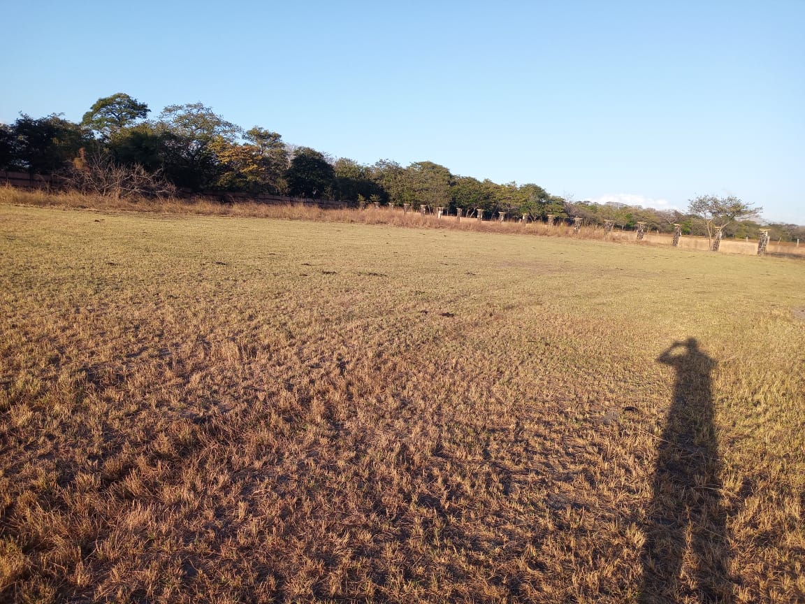 0 bed Land For Sale in Liberia, Guanacaste - thumb 4