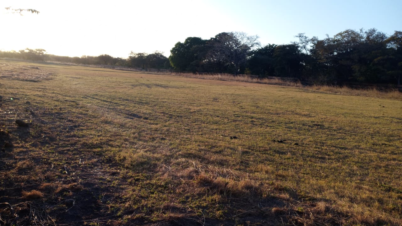 0 bed Land For Sale in Liberia, Guanacaste - thumb 3