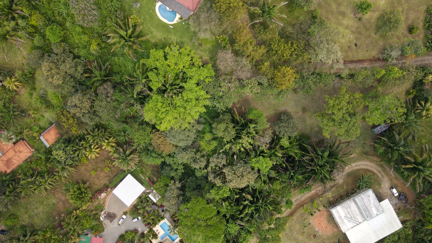0 bed Land For Sale in Ojochal, Puntarenas - thumb 5