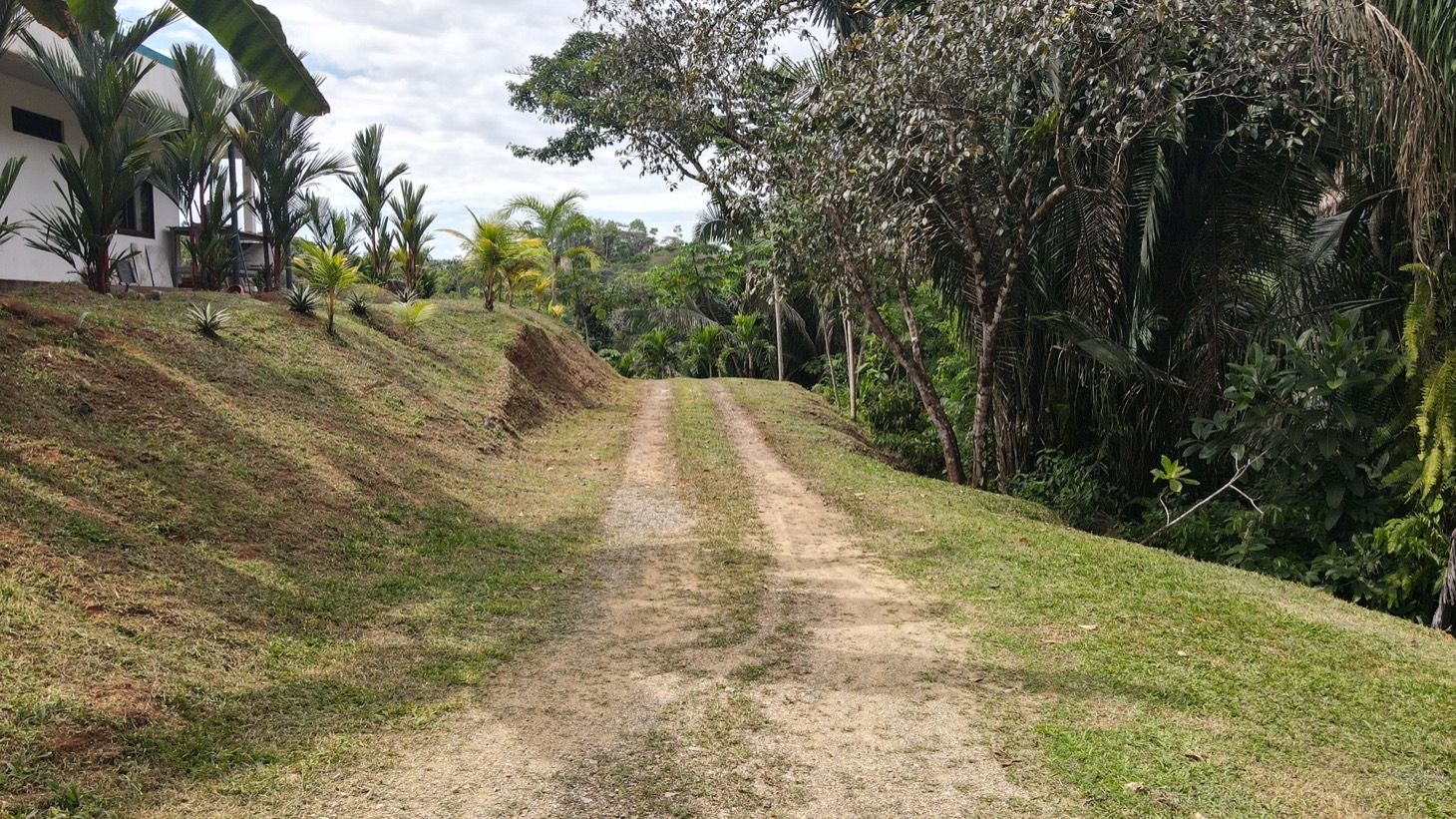 0 bed Land For Sale in Ojochal, Puntarenas - thumb 12