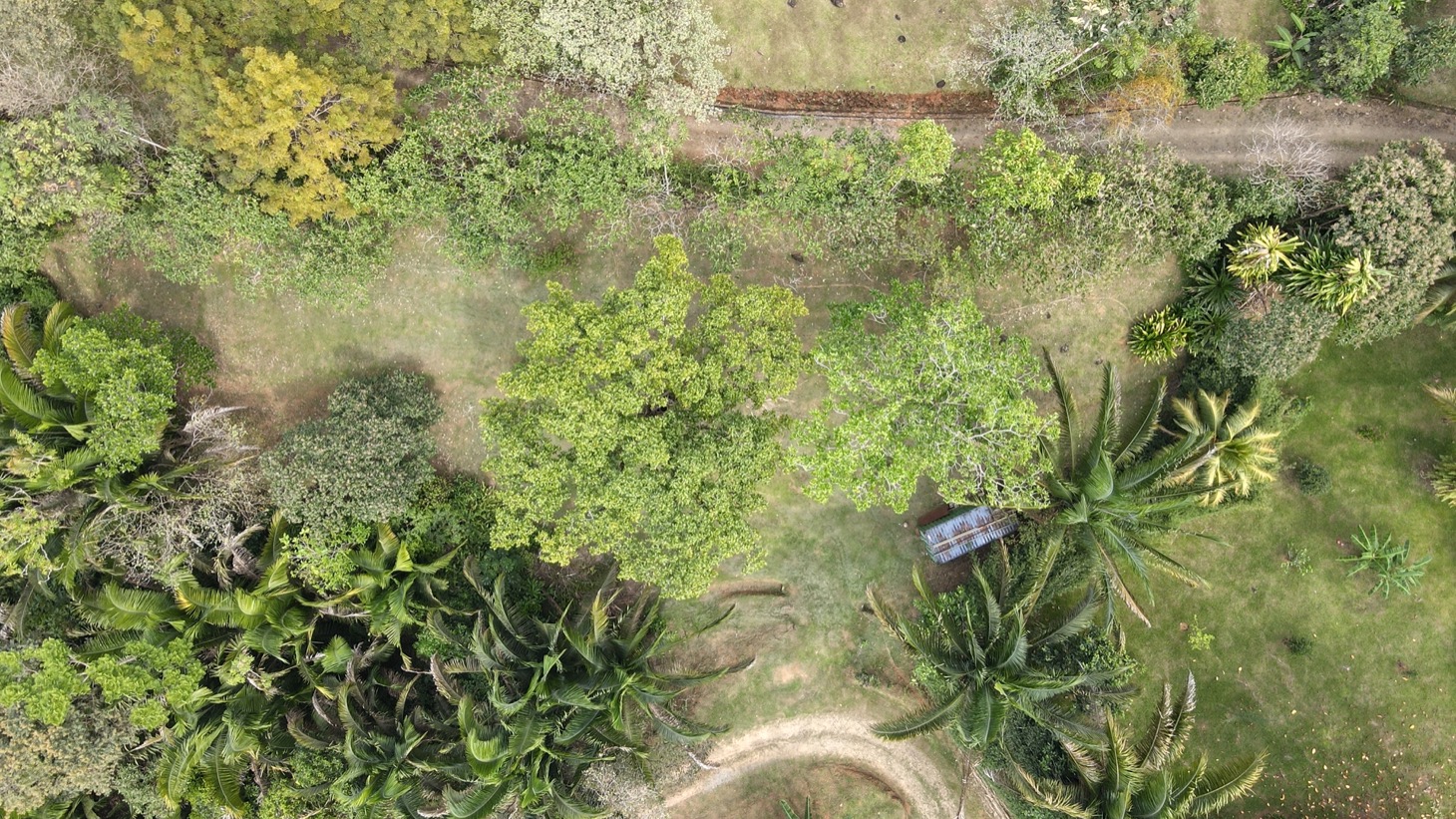 0 bed Land For Sale in Ojochal, Puntarenas - thumb 6