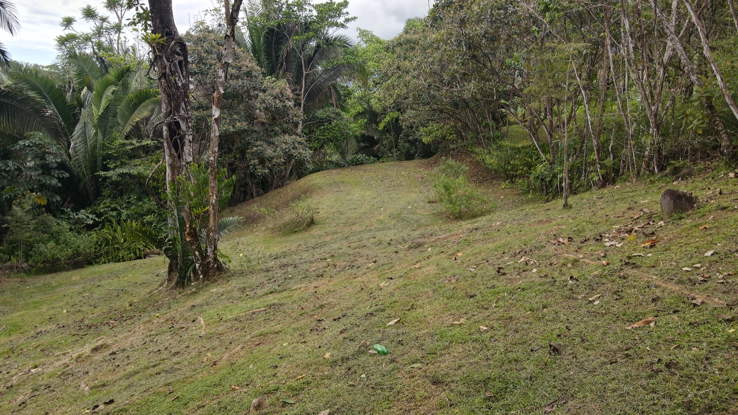 0 bed Land For Sale in Ojochal, Puntarenas - thumb 9