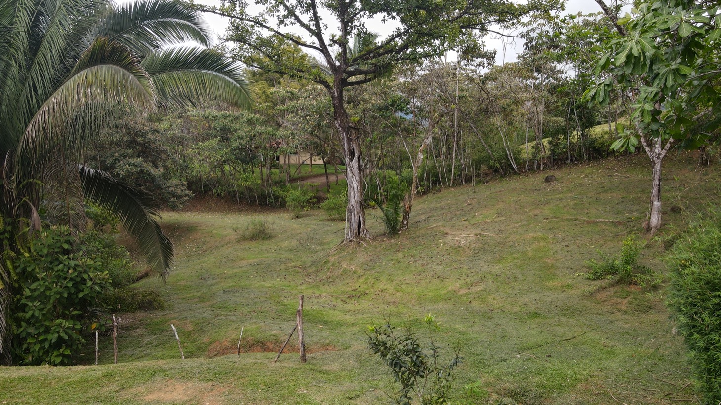 0 bed Land For Sale in Ojochal, Puntarenas - thumb 7