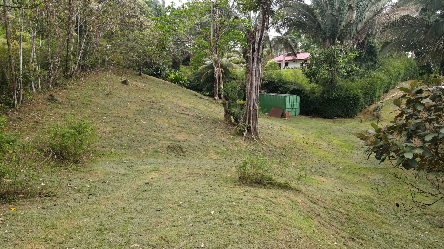 0 bed Land For Sale in Ojochal, Puntarenas - thumb 8