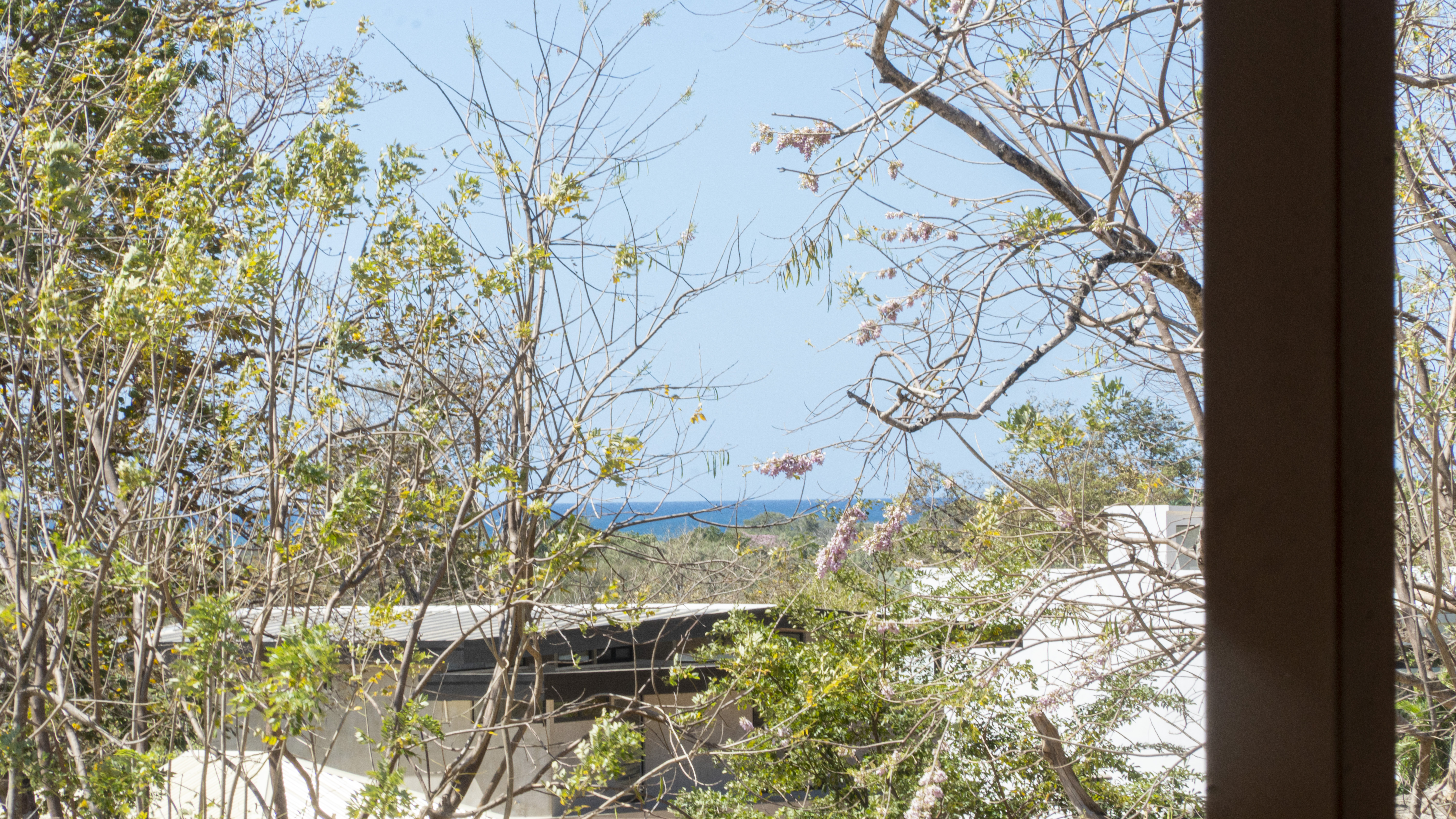 3 bed Single Family Homes For Sale in Tamarindo, Guanacaste - thumb 12