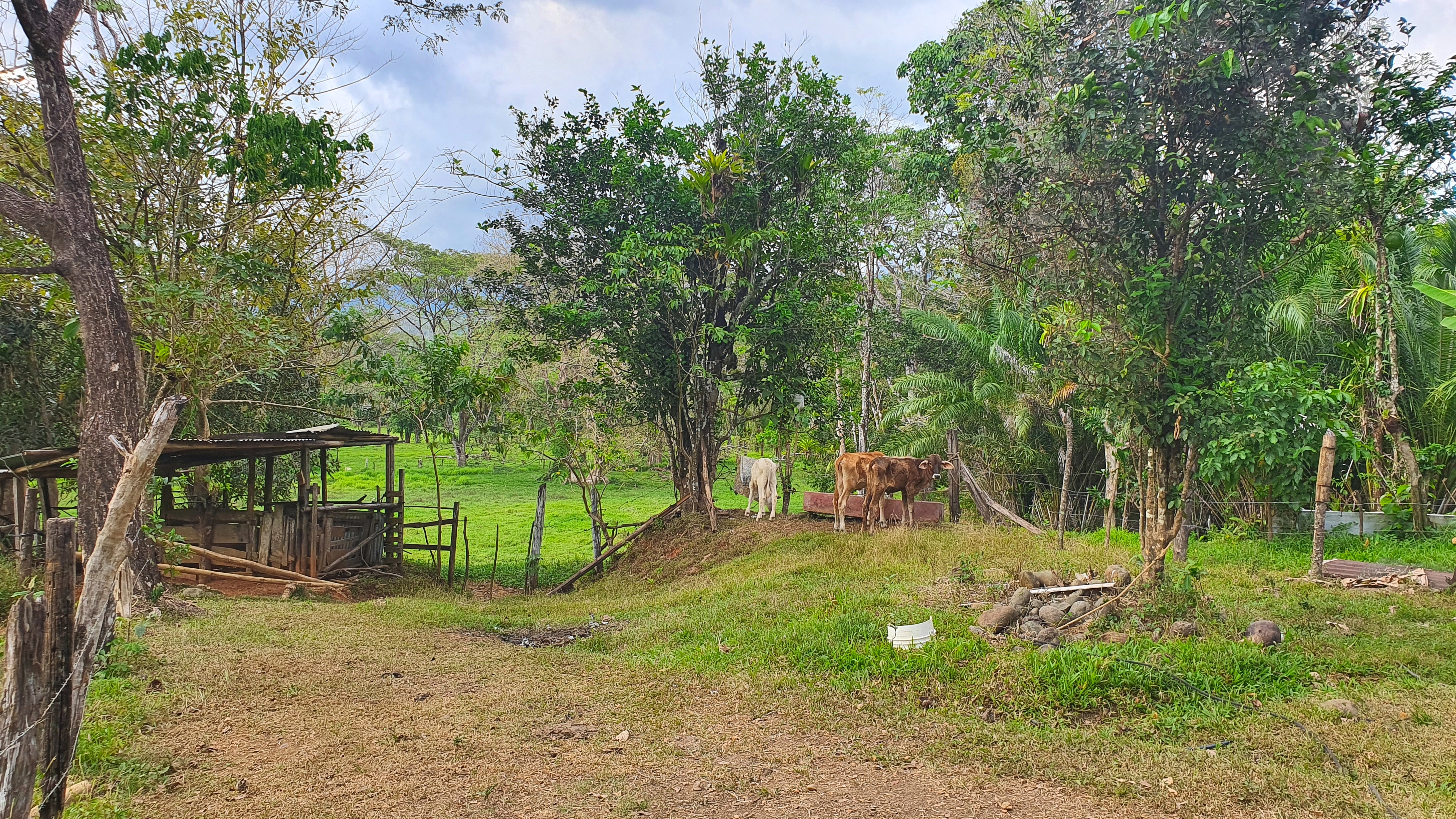 0 bed Land For Sale in Quepos, Puntarenas - thumb 13