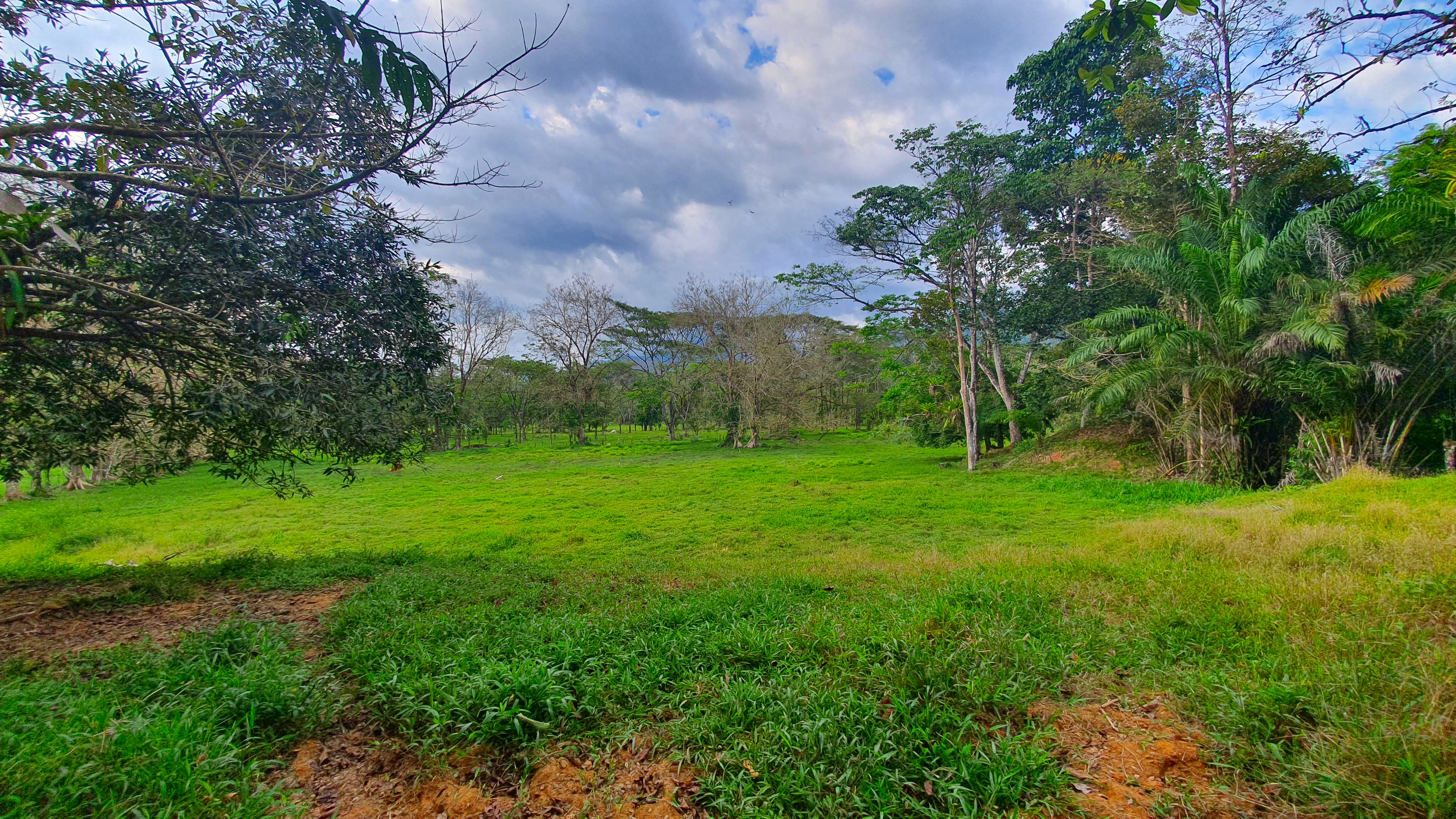 0 bed Land For Sale in Quepos, Puntarenas - thumb 9