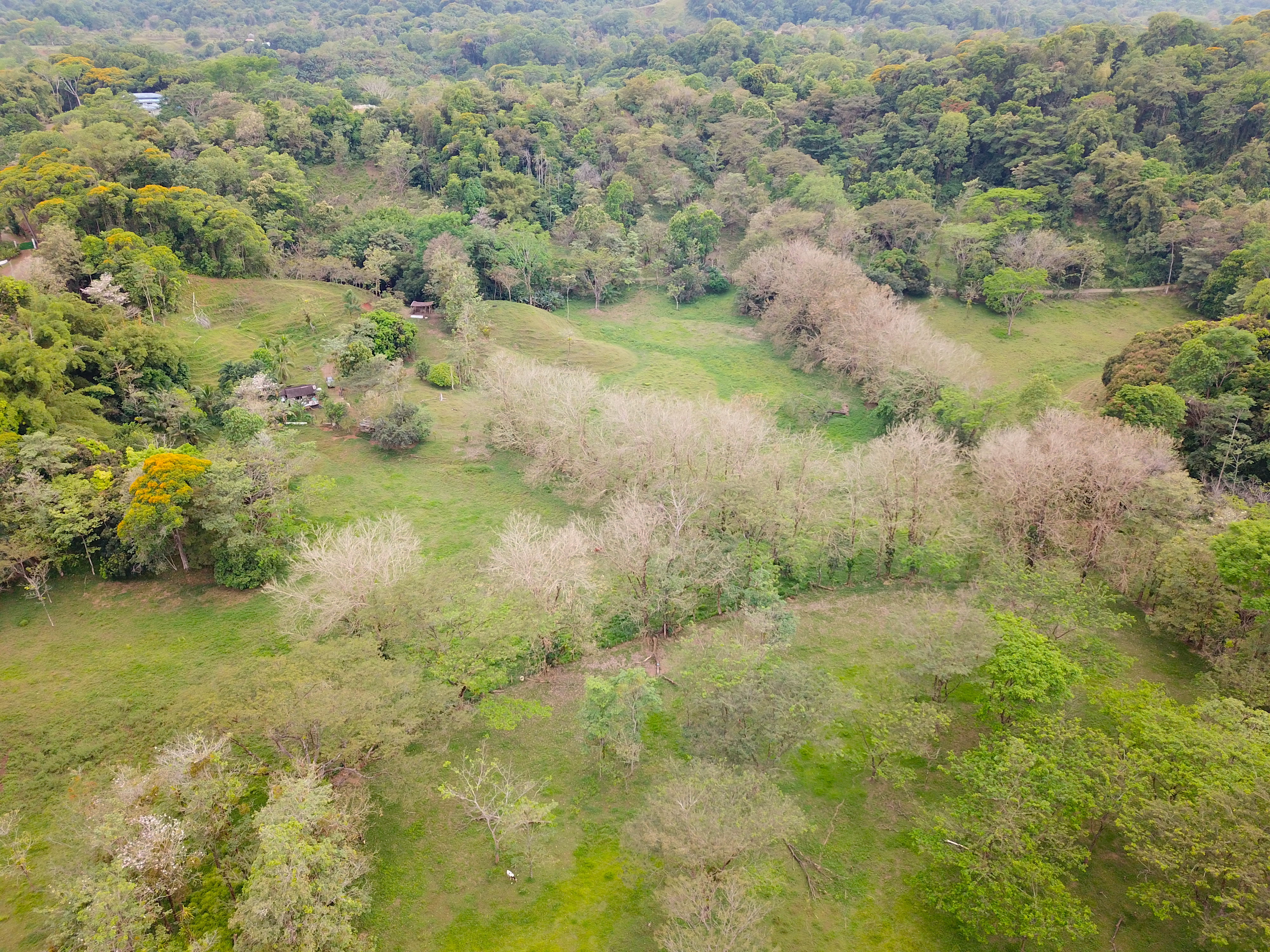 0 bed Land For Sale in Quepos, Puntarenas - thumb 12