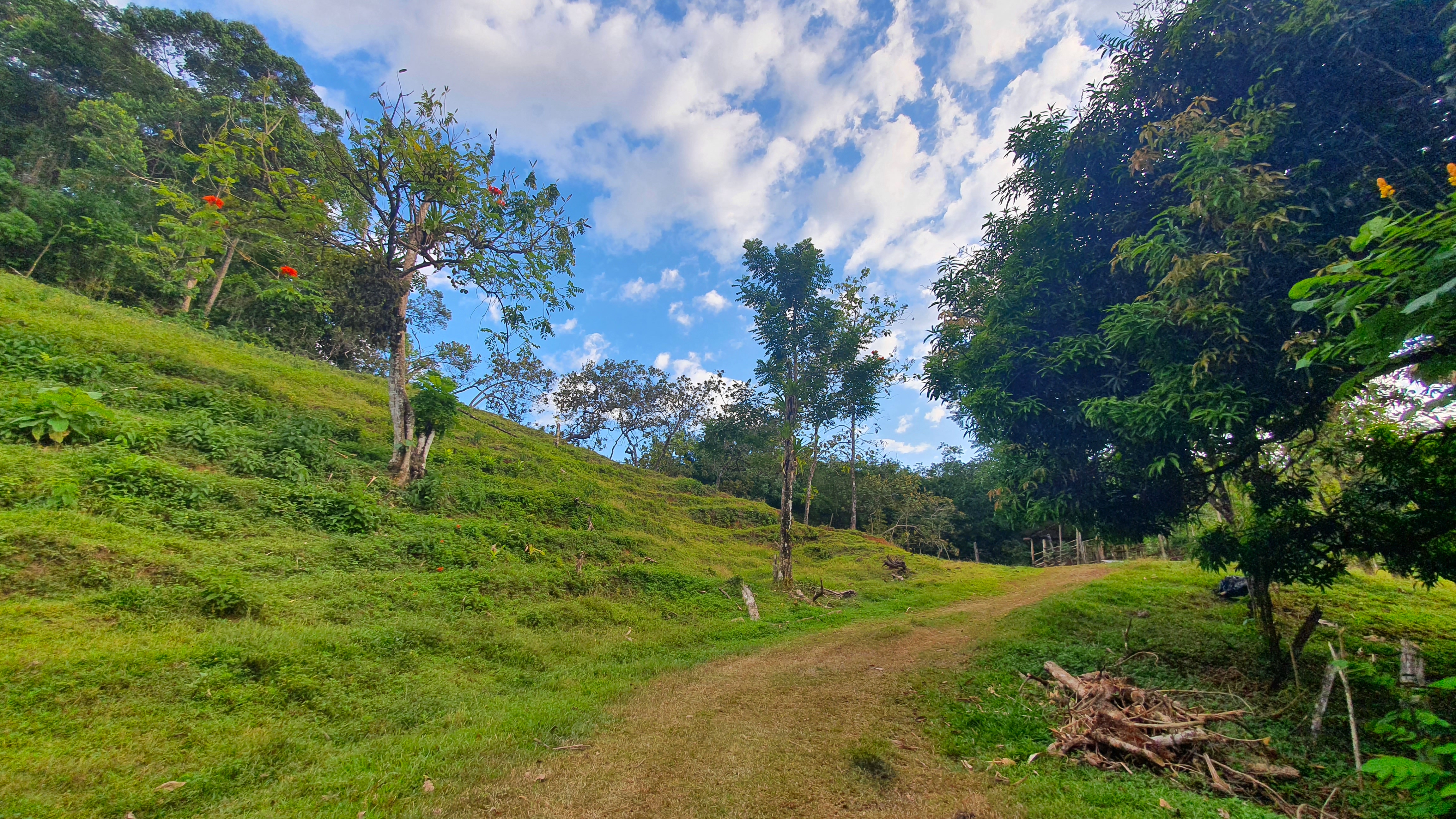 0 bed Land For Sale in Quepos, Puntarenas - thumb 4