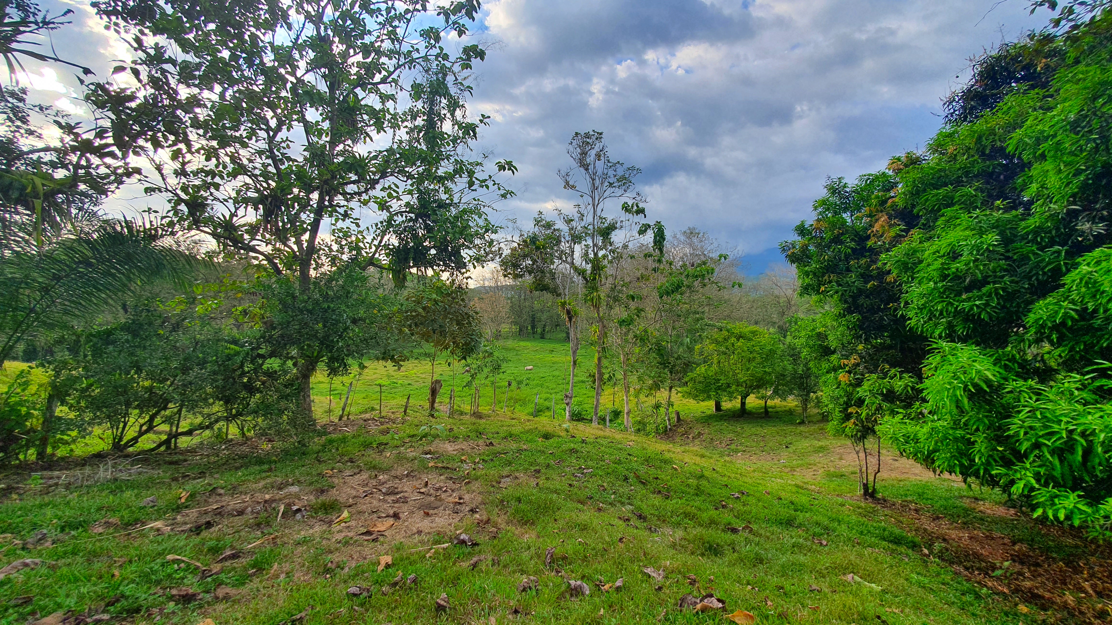 0 bed Land For Sale in Quepos, Puntarenas - thumb 8