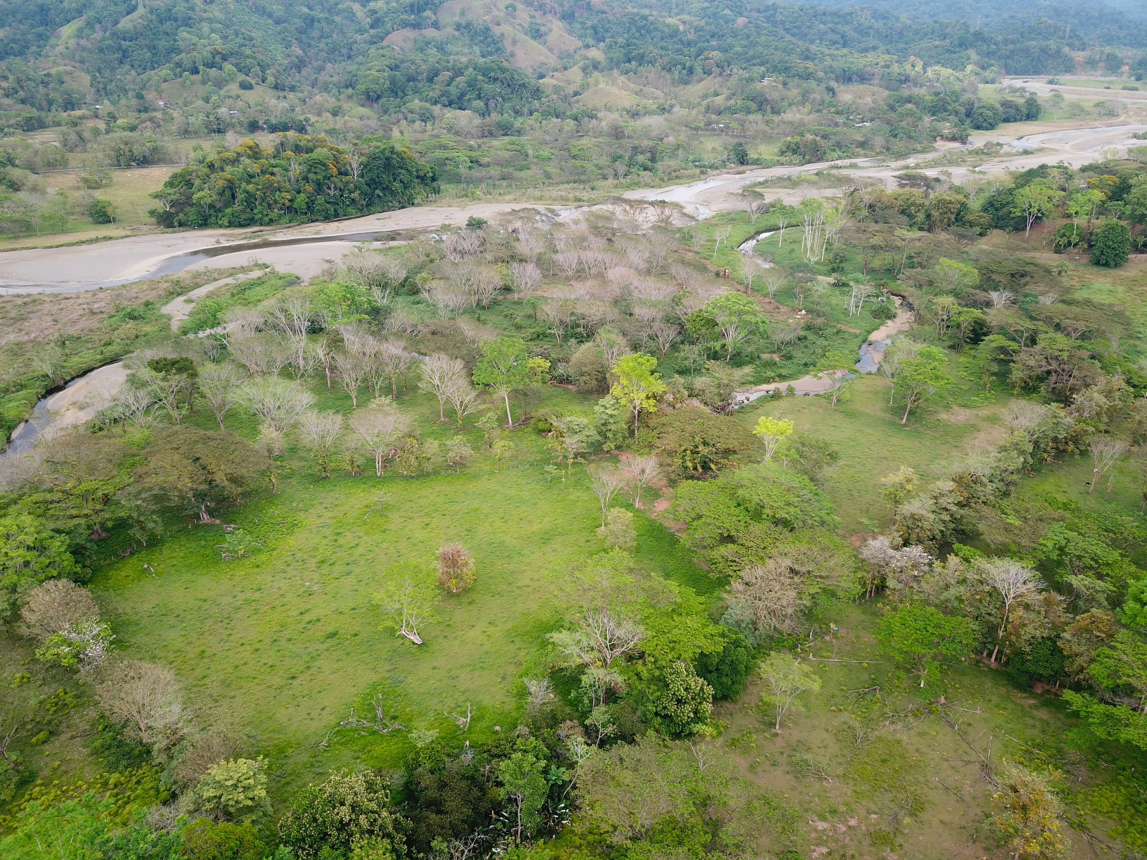 0 bed Land For Sale in Quepos, Puntarenas - thumb 1