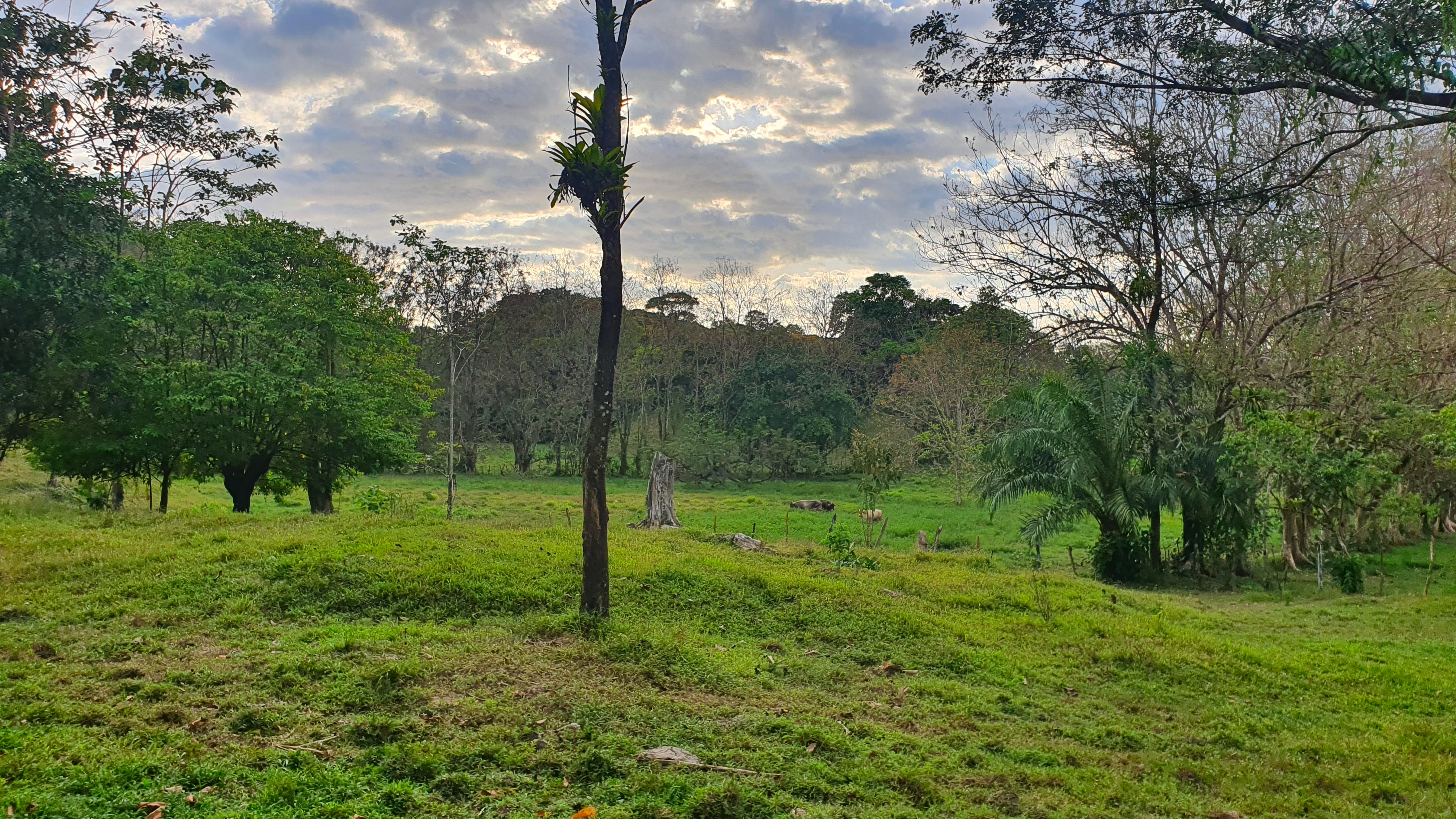 0 bed Land For Sale in Quepos, Puntarenas - thumb 10