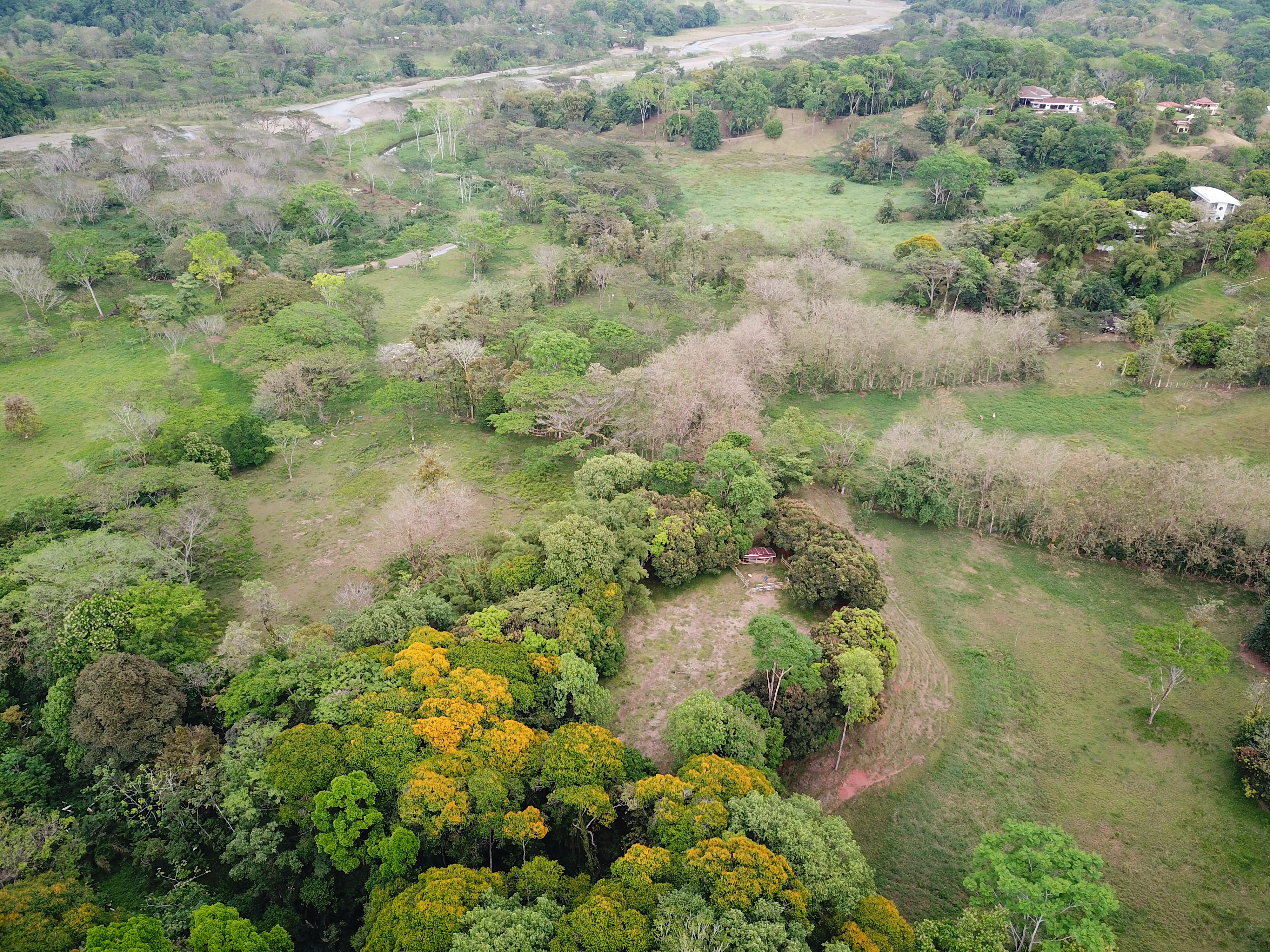 0 bed Land For Sale in Quepos, Puntarenas - thumb 11