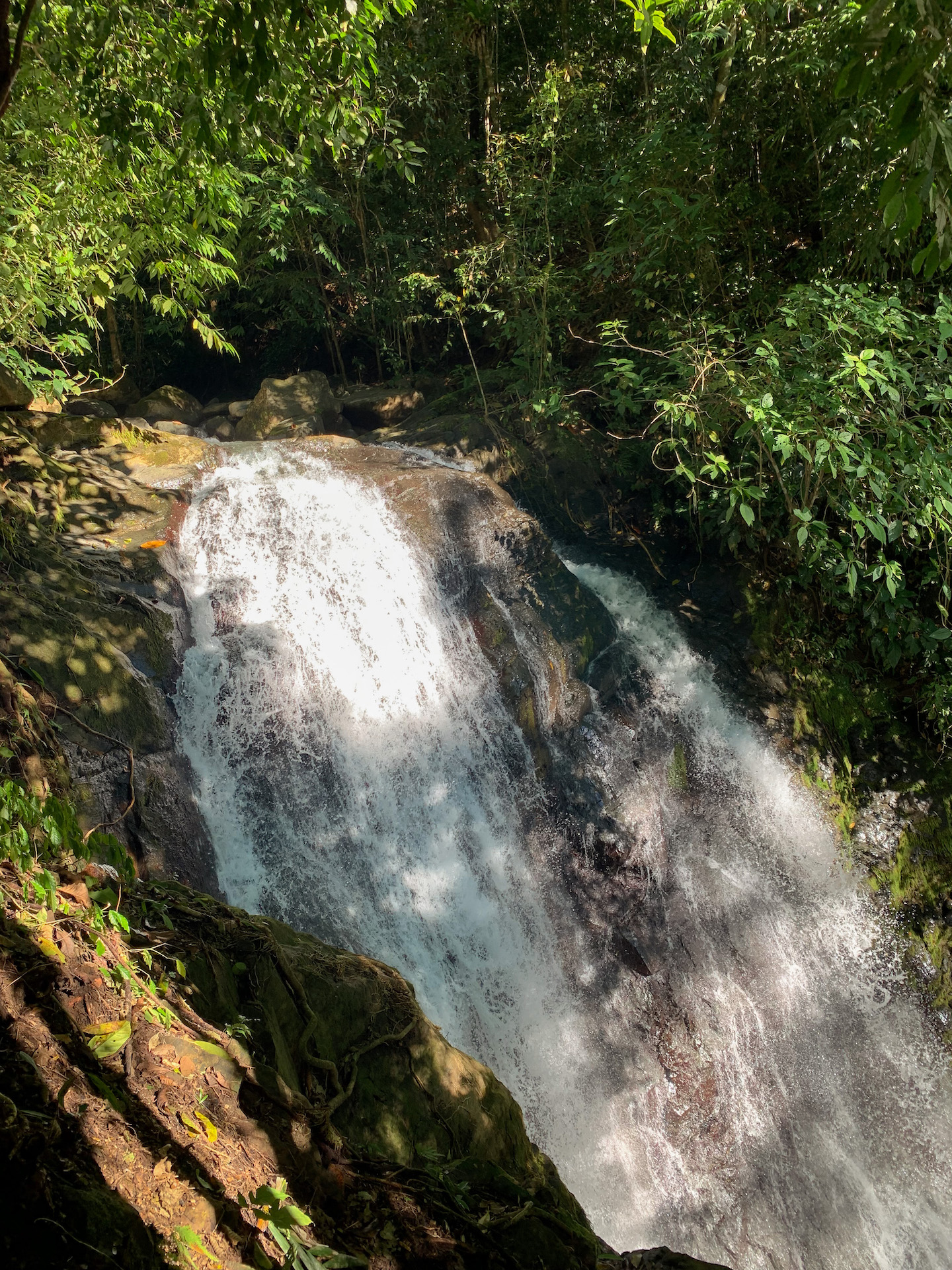 0 bed Land For Sale in Uvita, Puntarenas - thumb 21