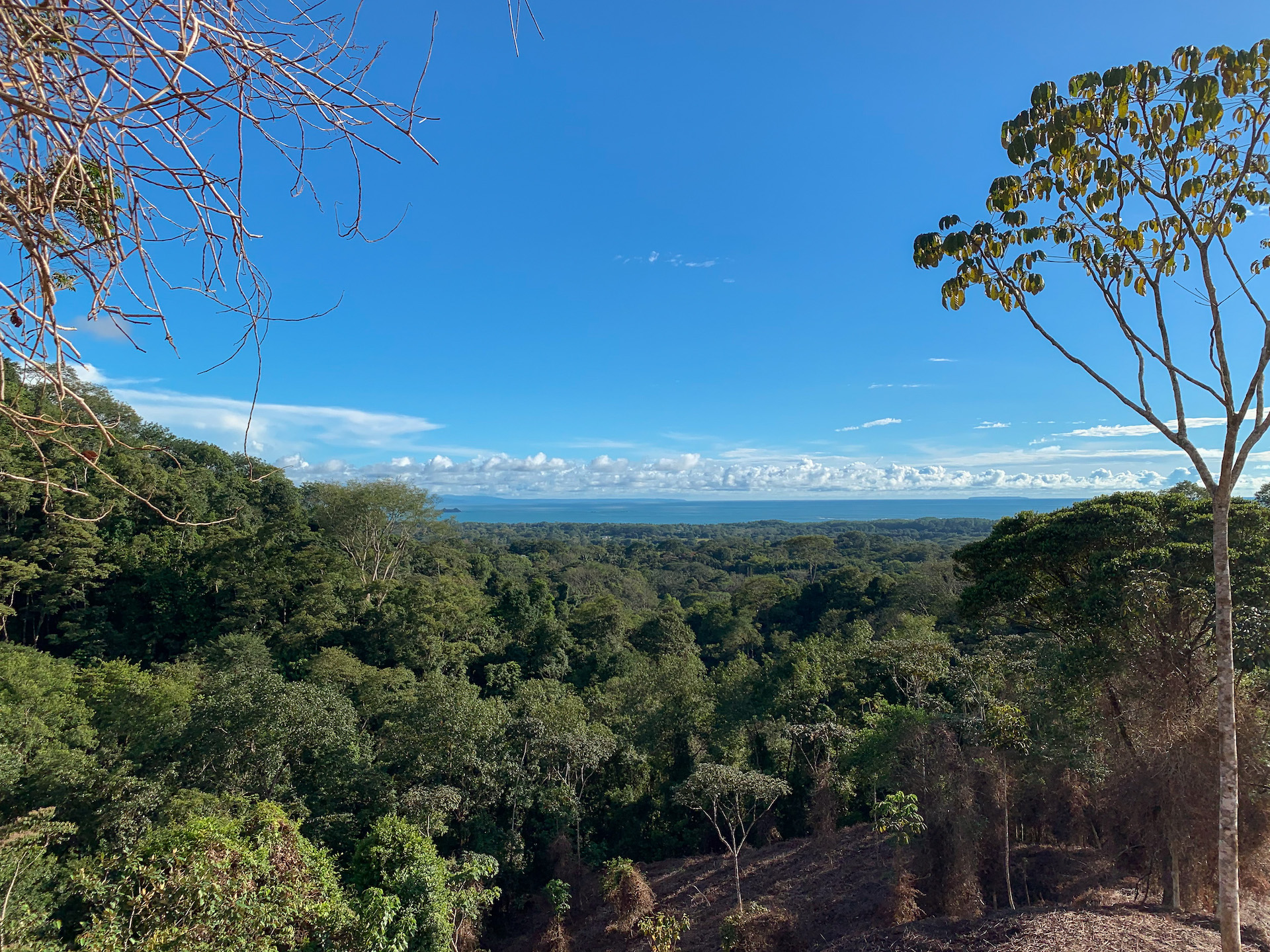 0 bed Land For Sale in Uvita, Puntarenas - thumb 17