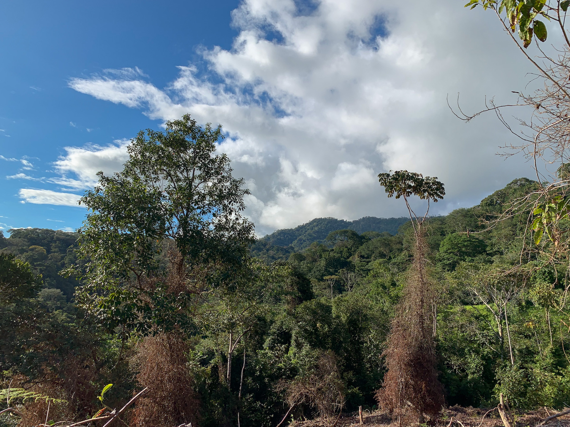 0 bed Land For Sale in Uvita, Puntarenas - thumb 18