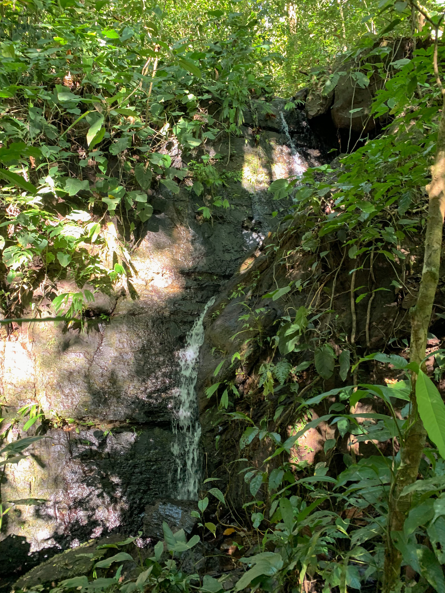 0 bed Land For Sale in Uvita, Puntarenas - thumb 16